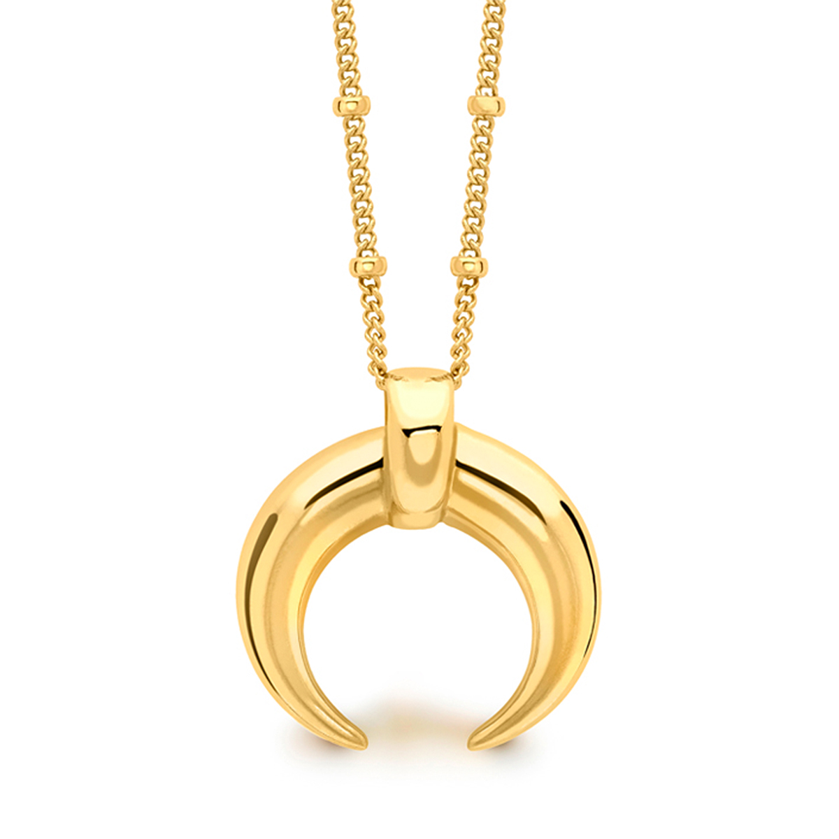 Horn Necklace